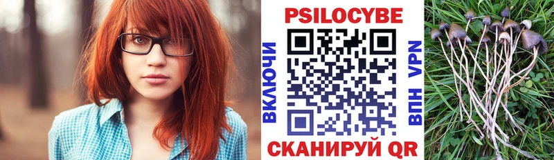 Псилоцибиновые грибы мицелий  где купить наркоту  МЕГА ССЫЛКА  Пикалёво 
